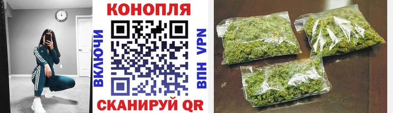 Купить закладки  Котлас  МАРИХУАНА тримм 